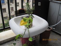 北海365网 日用品、家具与家电，打造舒适家居生活